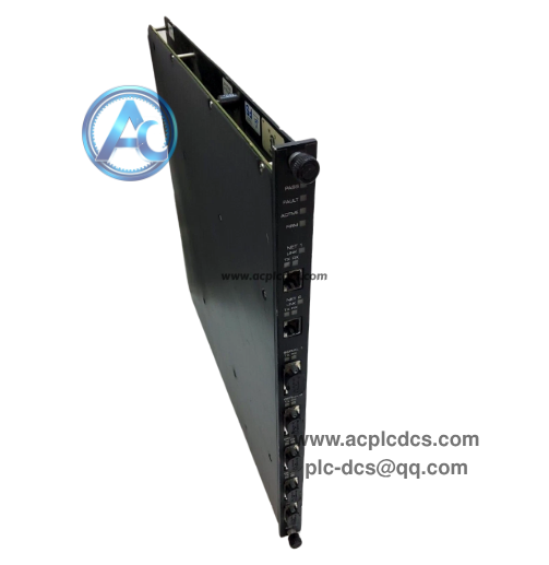 TRICONEX 4351B(1).png