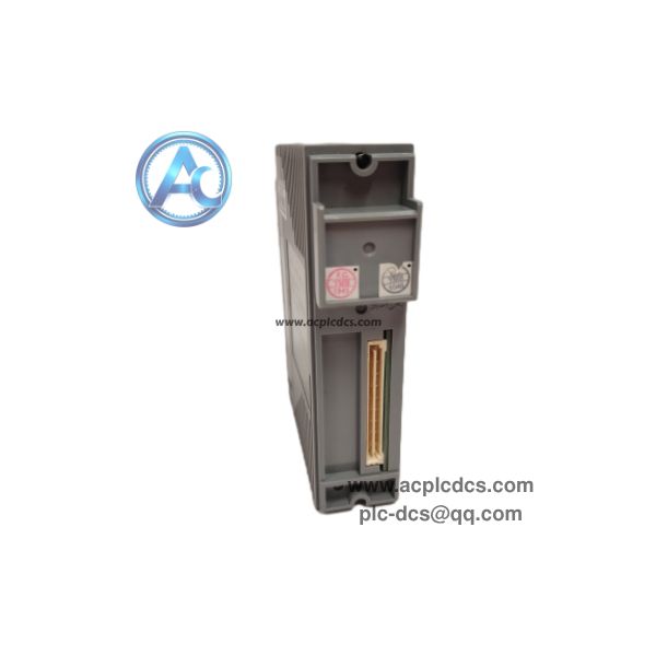 YOKOGAWA AAI141-H50 S2(4).jpeg